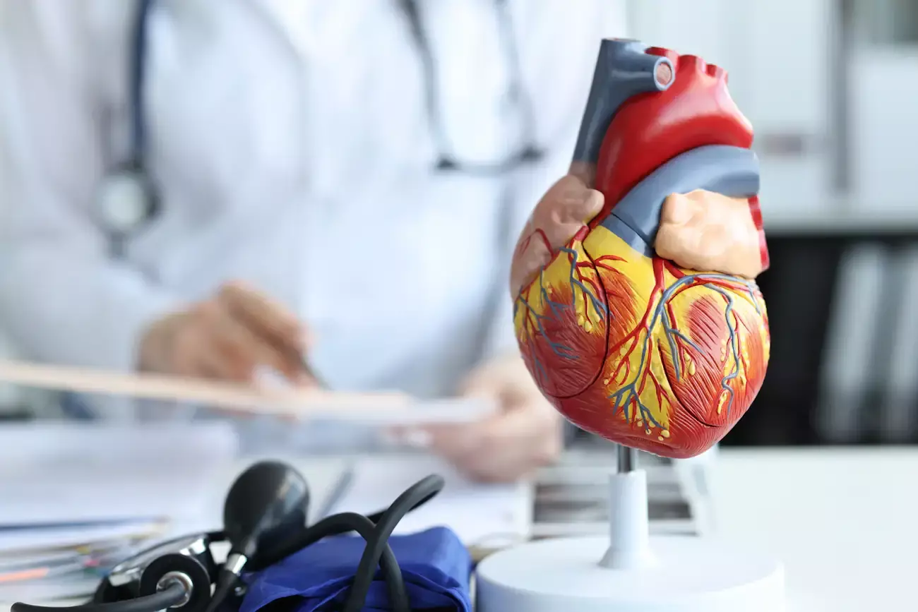 Innere Medizin und Kardiologie Innere Medizin und Kardiologie