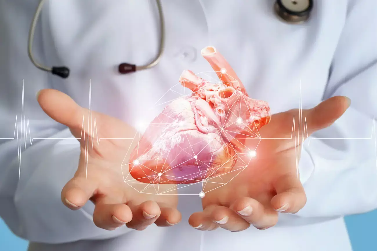 Kardiologie in Bamberg Kardiologie in Bamberg